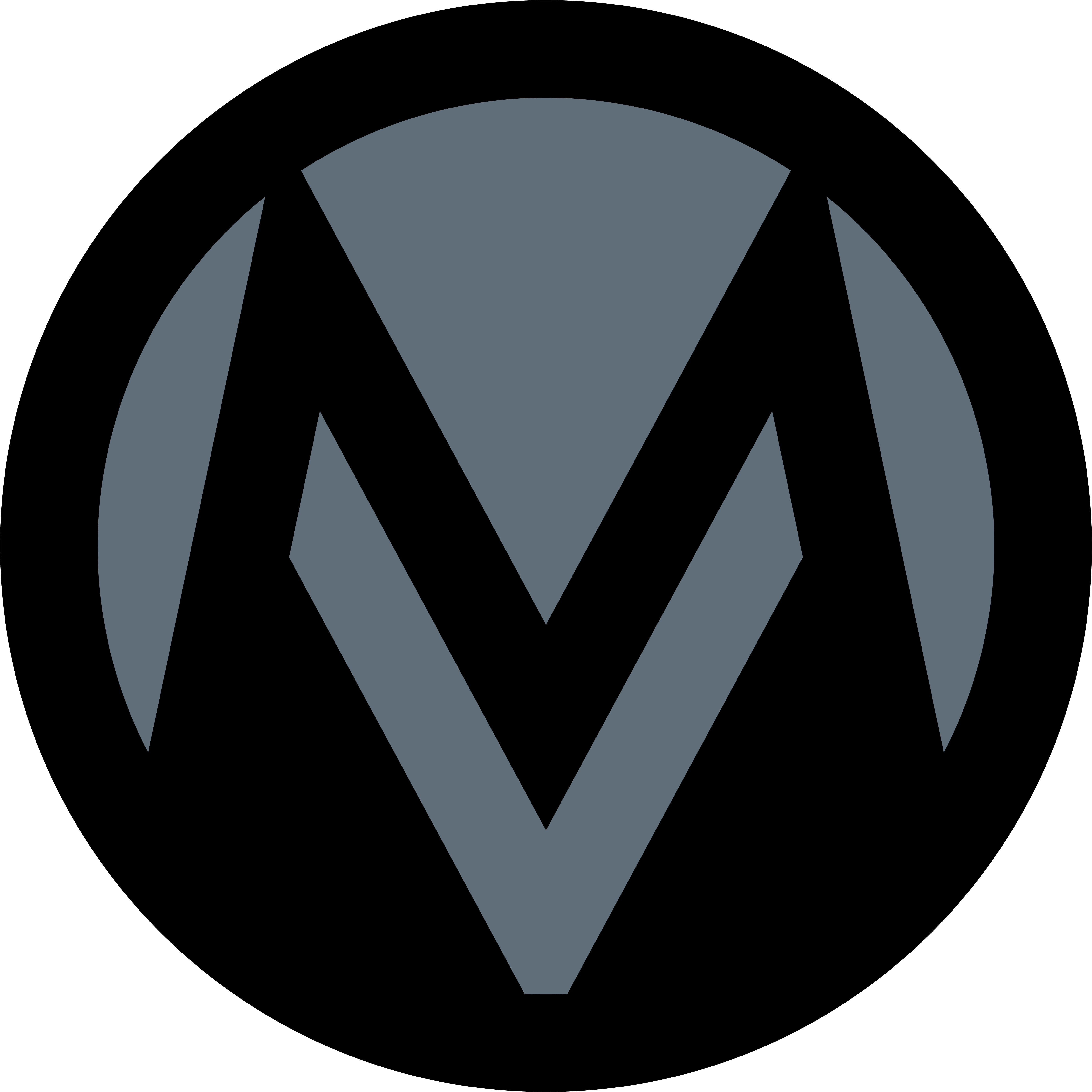 Motovictus Logo